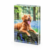 GlassBlox Thick Glass 4 x 6" (102 x 152mm)