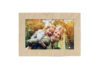 Eco Frames - Image 2