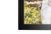 Ashenté Plus Hardwood Black Frame 24x32" (60x80cm) 12mm Profile - 5 week lead time. STStock
