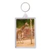 Xtra Key Fob 45 x 66mm - Image 3