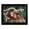 Glass Mounts - Image 8
