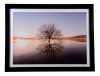 Accentu Frames - Image 2